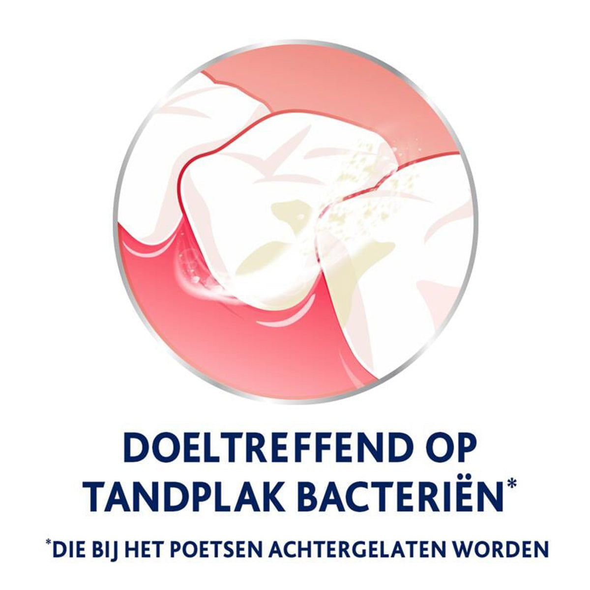 Parodontax illustratie tandvlees met tekst doeltreffend op tandplak bacteriën