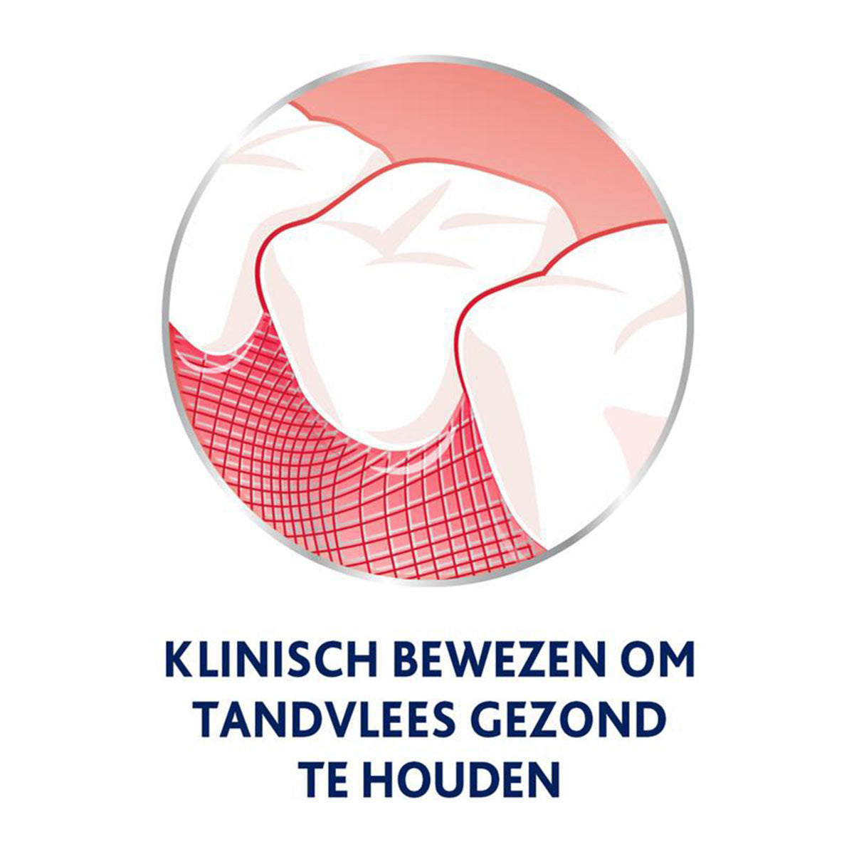 Illustratie tandvlees en tanden met tekst klinisch bewezen tandvlees gezond houden