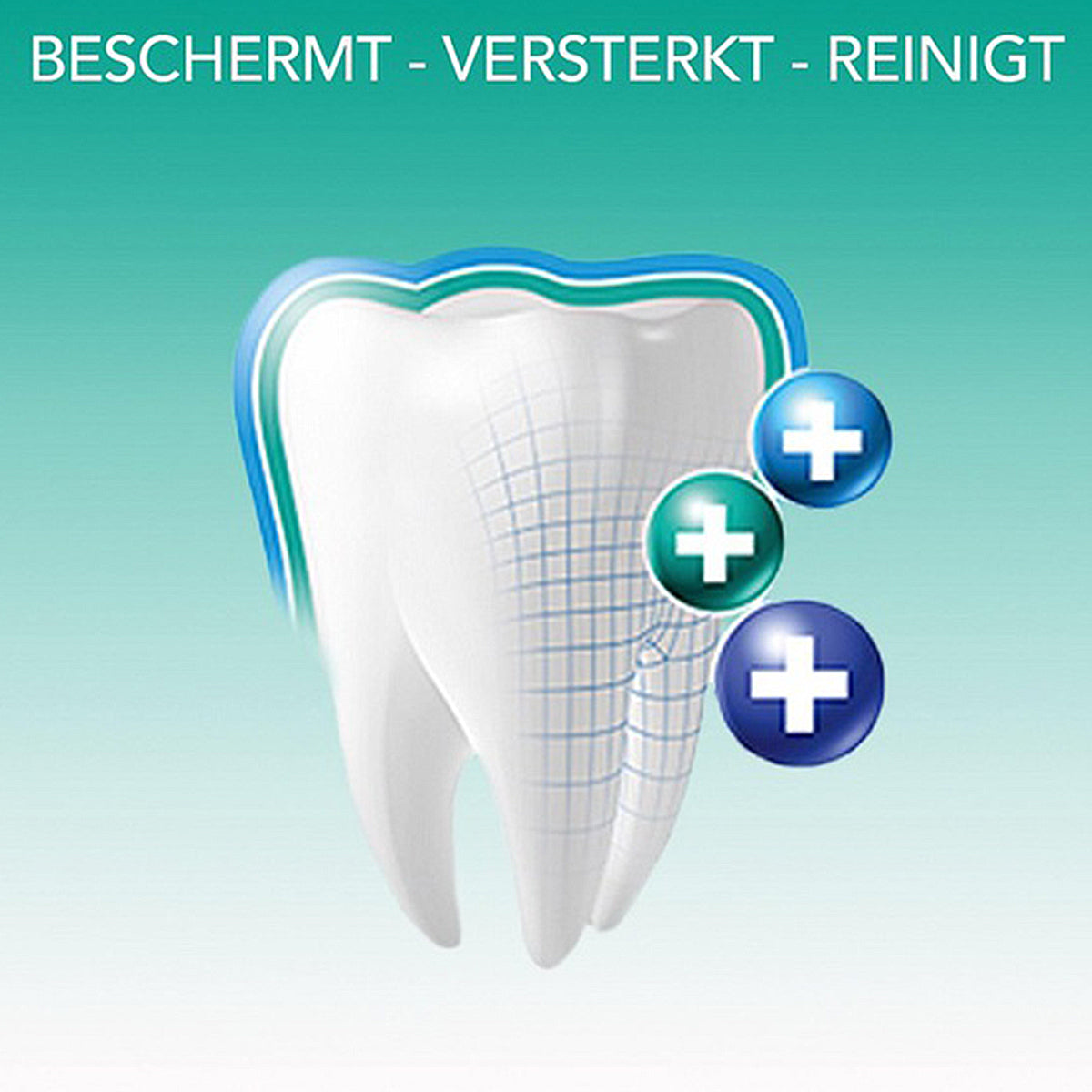 Elmex Sensitive Original illustratie tand met tekst beschermt versterkt reinigt