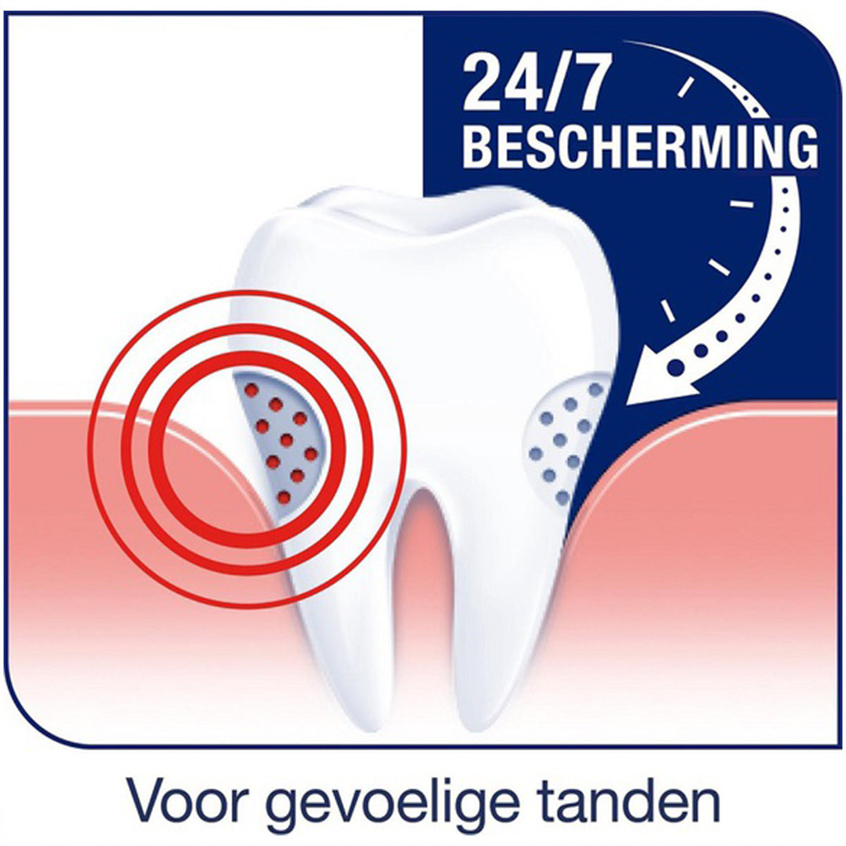 Sensodyne Repair&Protect illustratie tand met 24/7 bescherming tegen gevoeligheid