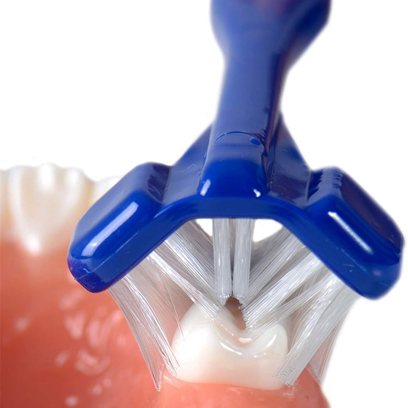 Dr. Barman's tandenborstel Regular reinigt kies op tandmodel in close-up