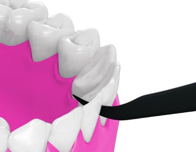 Piksters Eco Charcoal Floss picks tandenstoker in gebruik tussen tanden op 3D-model