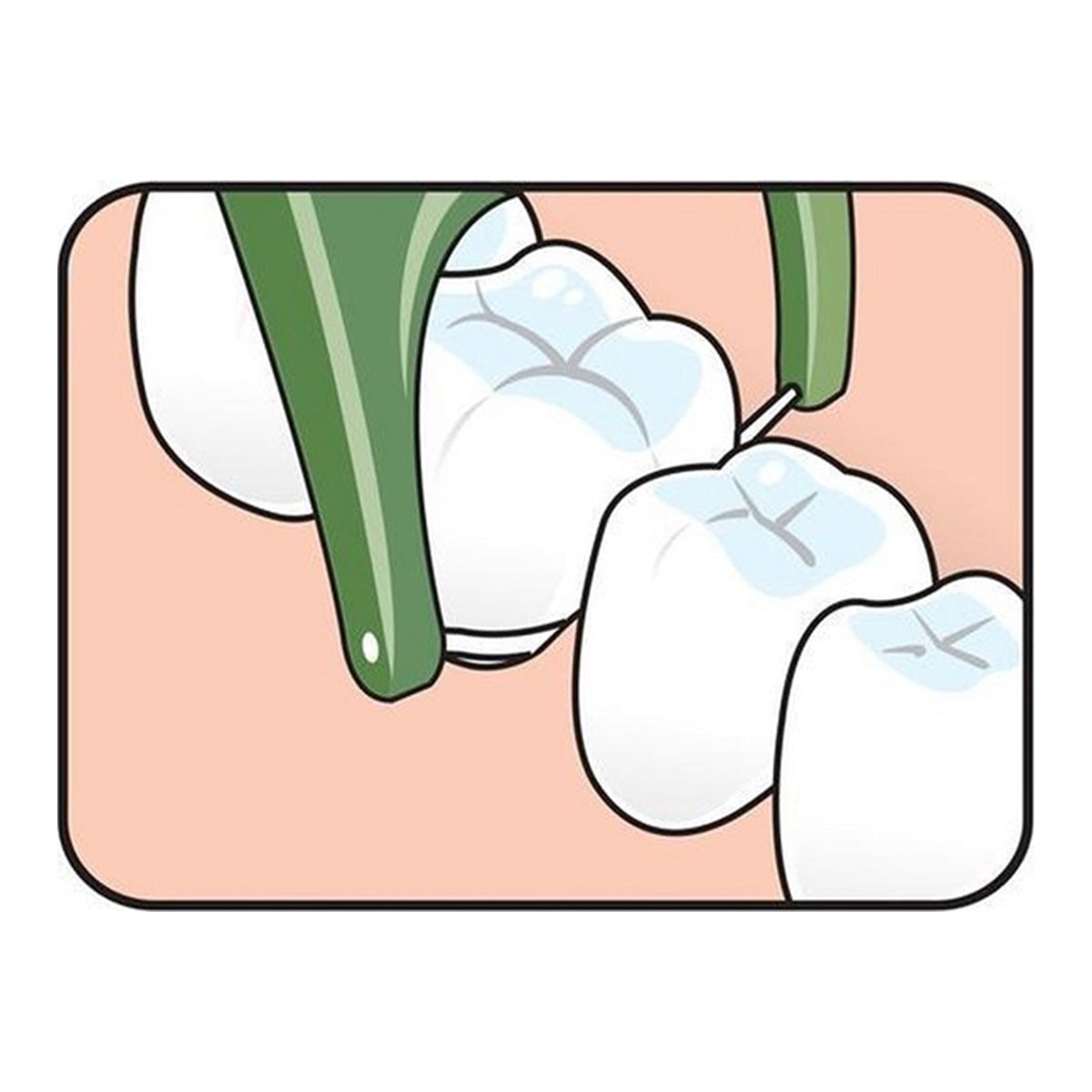 Tepe Mini Flosser illustratie van flossen tussen kiezen in mondholte