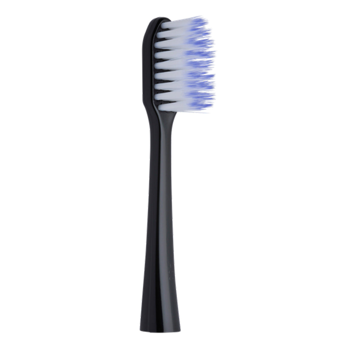 Gum Sonic Daily opzetborstel zwart met witte en blauwe borstelharen