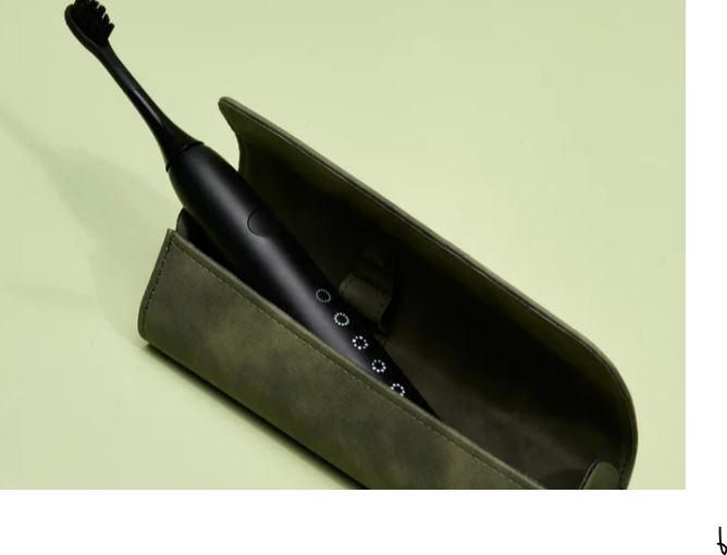 Boombrush travelcase in groen leer met zwarte elektrische tandenborstel